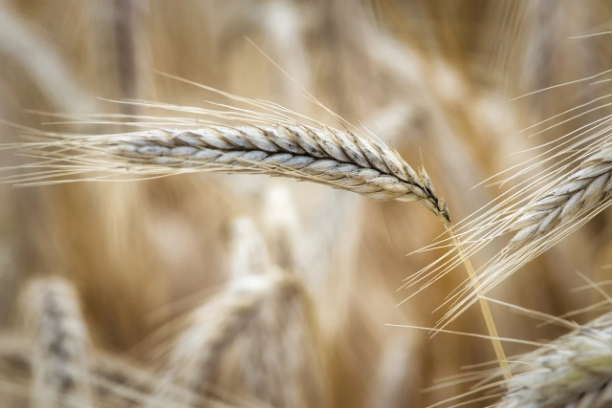 1692230941746884.png 640 (3).png