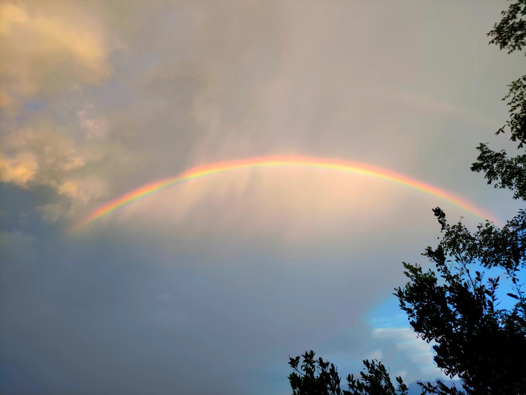 1722991669360735.jpg 微信圖片_20240806170118.jpg