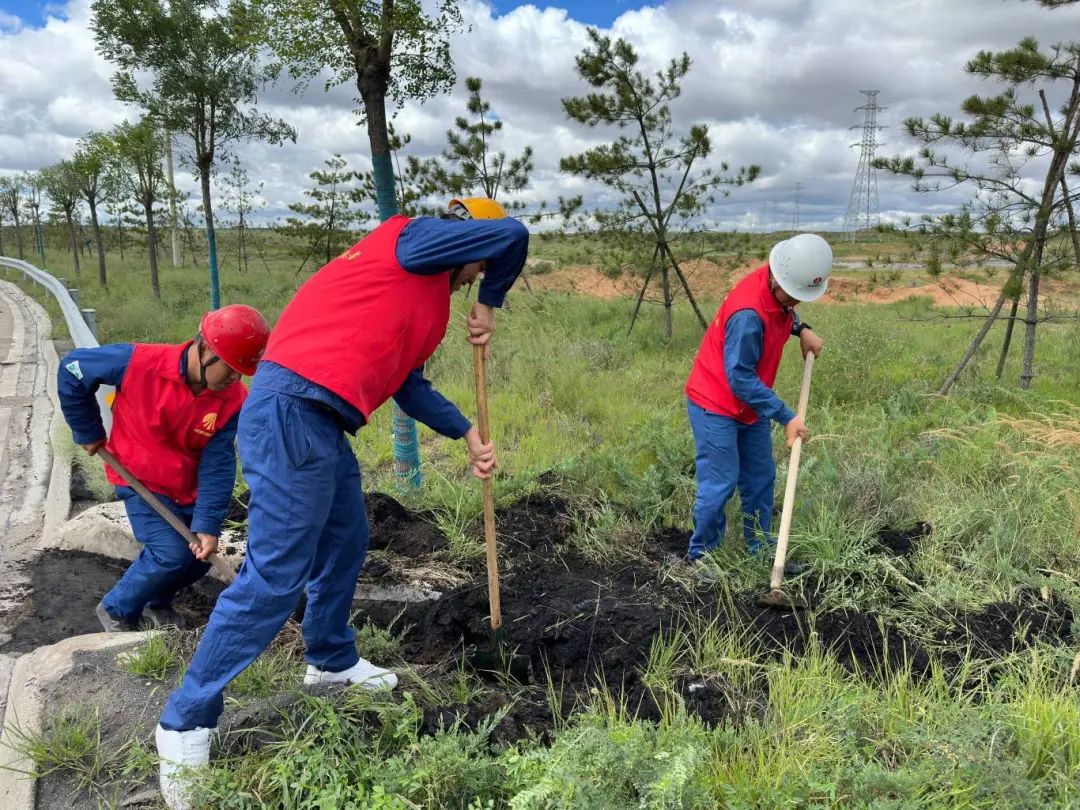 1723595180123329.jpg 640 (5).jpg